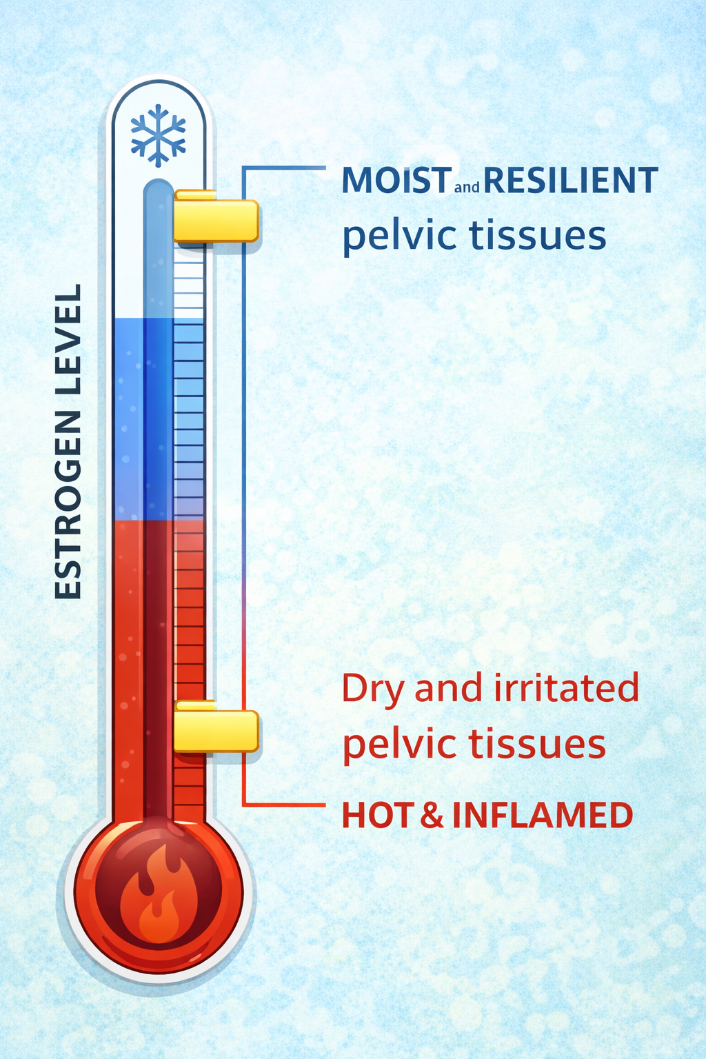 estrogen-thermometer estrogen thermometer